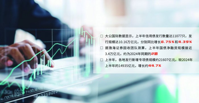2025债市半年观察：扩容提速与高波动并行