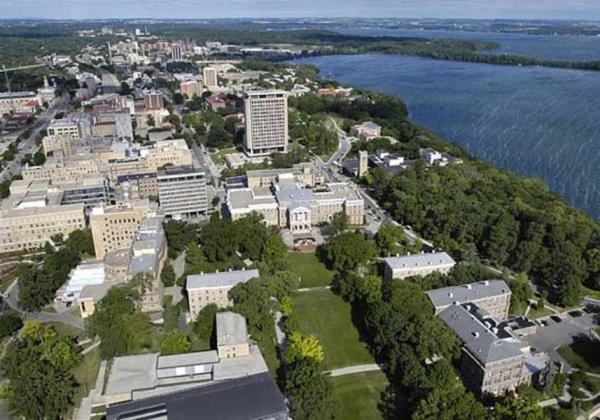 如何理解期货星K线的含义？它对期货交易有何参考价值？