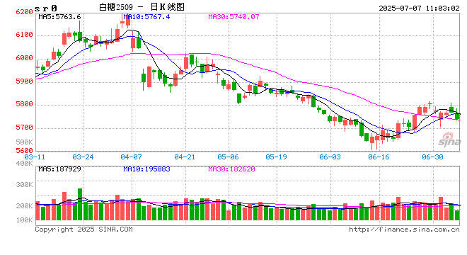 光大期货软商品类日报7.7