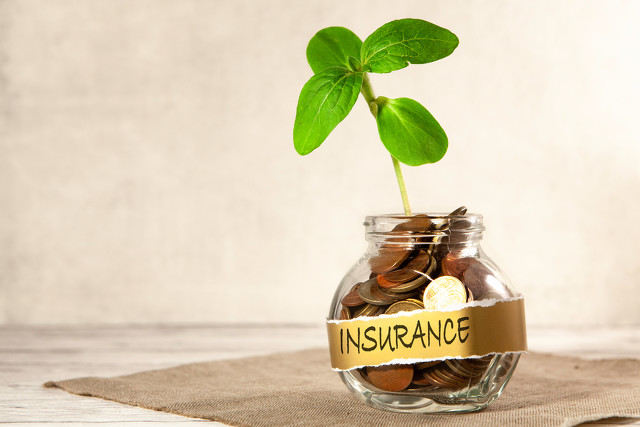 如何认识农业养殖与经济的关系？海南养殖有哪些经济机会？