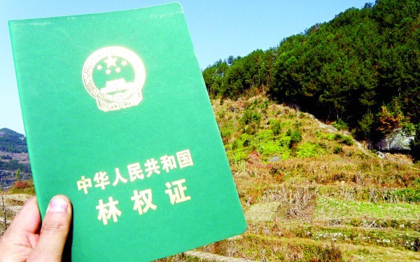 如何处理土地相关事务？这些事务有什么要点和难点？