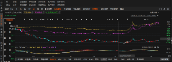 ST紫天财务造假风波：会计报告虚假记载引发监管关注！