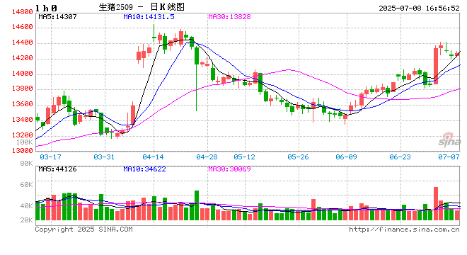 三大猪企6月生猪销量同比均增长，牧原销售收入环比同比均增