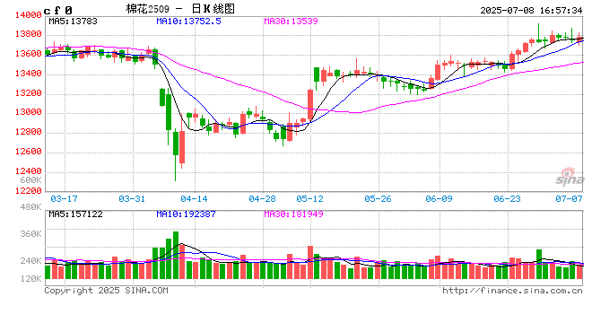 基本面无明显驱动 郑棉狭窄区间震荡