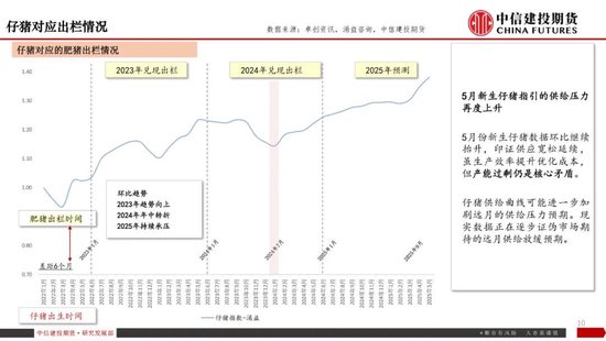 【生猪旬报】“反内卷”强预期的阶段性证伪？