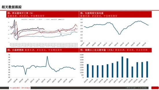 【生猪旬报】“反内卷”强预期的阶段性证伪？