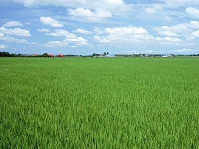 如何处理土地相关证件办理问题？办理流程有哪些难点？