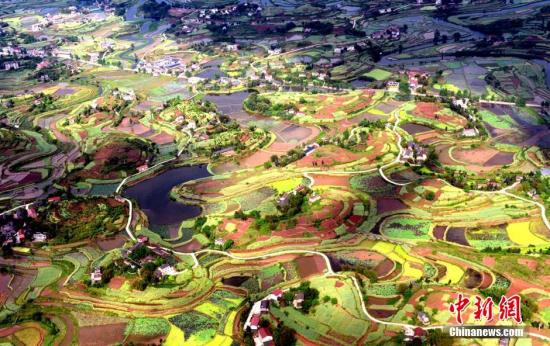 如何处理车险补贴返还事宜？返还的流程和条件是什么？