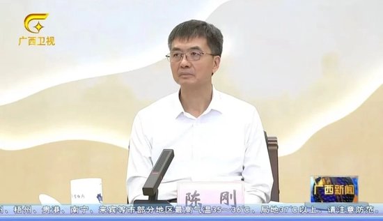 倒查十年、从严从重！陈刚：发现一个查处一个，决不手软