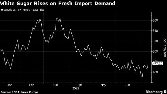 白糖期货上涨 市场权衡进口需求与供应
