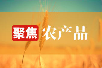如何理解农产品期货市场波动并做出决策？决策受哪些因素影响？