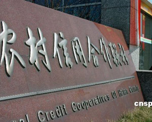 如何缴纳云南农村医保费用？缴费的具体方式是什么？