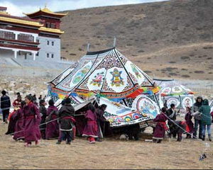 如何理解地震时房子倒塌现象？房子倒塌受哪些因素影响？