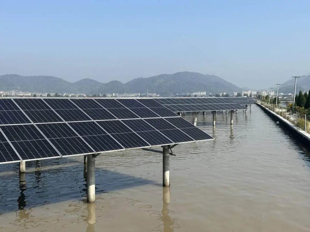 中国大金250兆瓦水上光伏+渔业综合项目全面启动