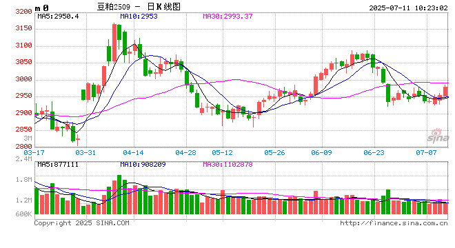 光大期货：7月11日农产品日报