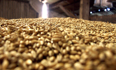 如何进行豆粕现货交易？现货交易有哪些注意事项？