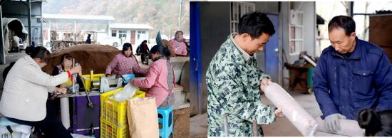 中国人保、中国人寿、中国太平获最高等次评价