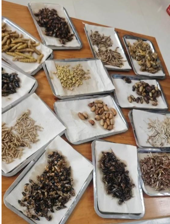 饭店老板拍视频被指违法广告，拟罚45万，山东临沂通报：市监局决定不再作出行政处罚并告知当事人