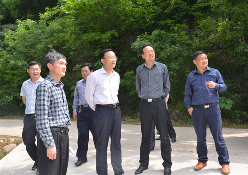 如何理解民生转债的定义？它在金融市场中有什么特点？