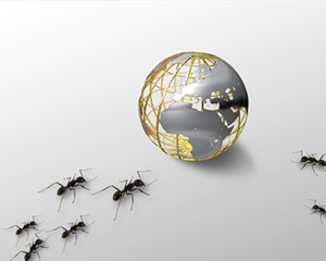 如何知晓元相关金融知识？其货币特征对金融交易有什么影响？