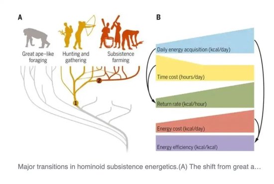 亚当·图兹CCG演讲：中国正在进行一场史无前例、极为壮观的能源转型