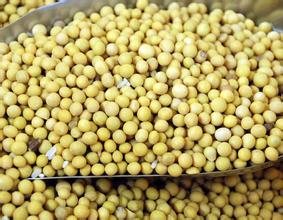 如何理解大豆国储停收相关影响？停收影响对期货市场有何改变？