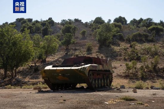 以军突袭叙利亚!铜成美国头号盗窃目标!密集利好来袭,私募大举加仓!国际尿素价格大涨,本周怎么走?