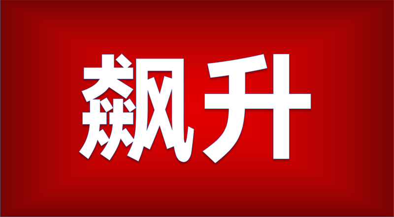 如何确定股票发行价格及利息计算？它们对投资收益有什么关联？