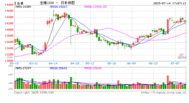 高瞻远“猪”：2018年非洲猪瘟后 生猪行业的三大变化