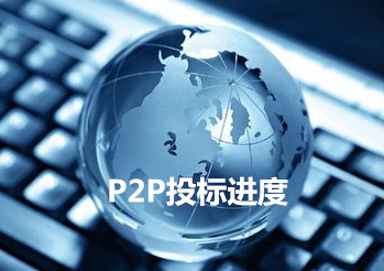 如何理解投标冻结并知晓其原因？投标冻结对项目进程有什么影响？