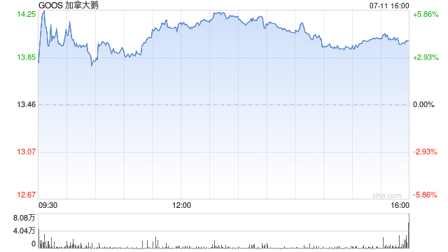 知情人士：加拿大鹅大股东贝恩资本考虑出售其股份