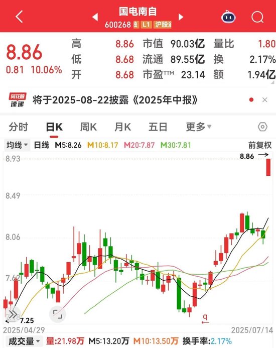 600268，业绩暴增，开盘快速涨停！融资客潜伏这些业绩大幅预增股