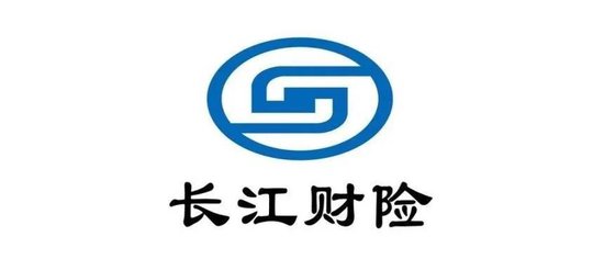 业务结构大变！车险占比5年降40%，169项整改，巡视盈利后再亏损，长江财险14载起伏蹒跚路