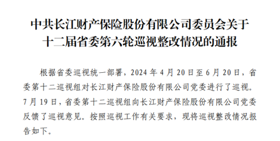 业务结构大变！车险占比5年降40%，169项整改，巡视盈利后再亏损，长江财险14载起伏蹒跚路