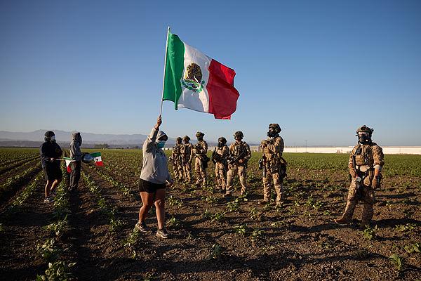 美国农场工人：特朗普让移民工人把自由交给农场主，这是在搞奴隶制