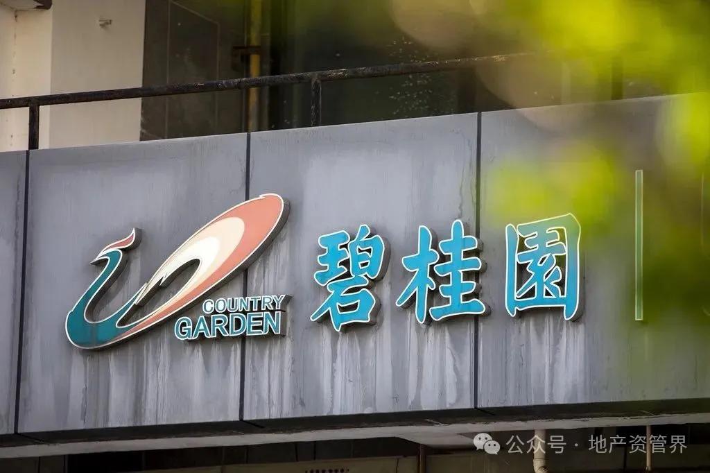 突发，碧桂园地产总经理被限制高消费