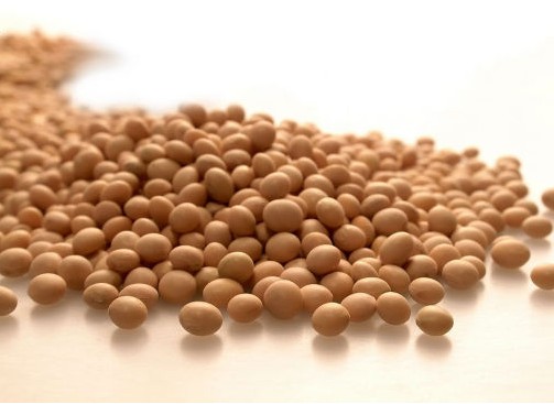 如何正确分析大豆期货市场？大豆期货分析对交易有何帮助？