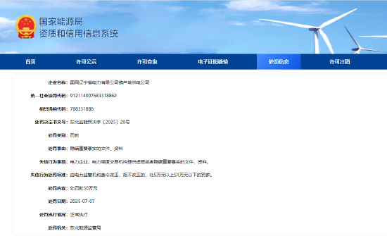 隐瞒重要事实文件资料，国网辽宁电力葫芦岛供电公司、建昌县供电分公司共被罚75万
