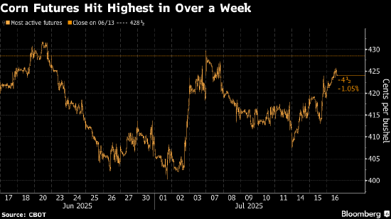 玉米期货攀升 美国主要地区将出现干旱天气