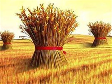 如何处理类似农村房子漏水这类问题？处理措施有哪些？