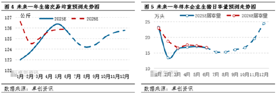 高瞻远“猪”：集中度与产能提升，生猪养殖成本线能否被触及？