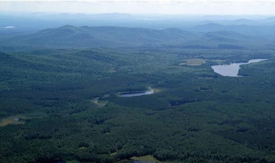 如何评价公园情况？怎样了解翠云公园实际状况？