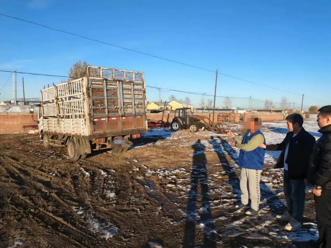 为给女主播“刷礼物”,男子偷了邻居家10头牛