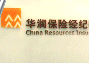 保险中的附加险有哪些常见类型？