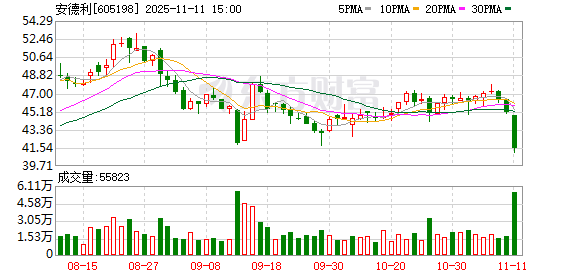 安德利跌8.03%，沪股通龙虎榜上买入1261.10万元，卖出3198.80万元