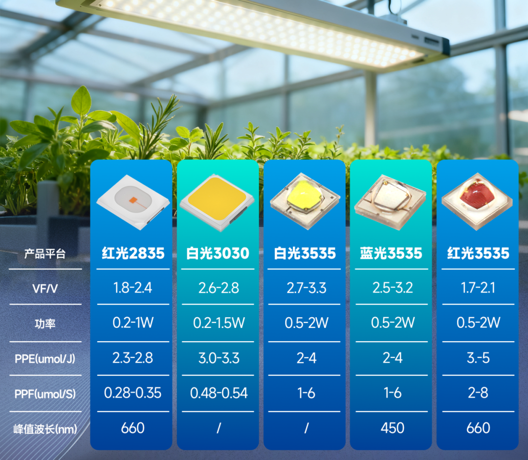 国星光电“智耕之星”AI种植生态系统震撼上市