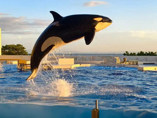 2025年Q3人身险行业偿付能力全景透视：九成险企承压背后