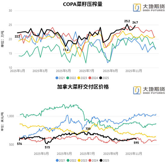 油脂:阶段性驻底与价差机会