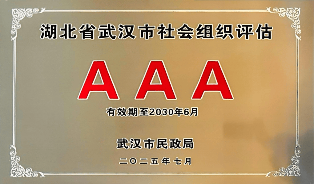 武汉市国华人寿公益基金会获评市级3A级社会组织
