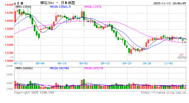 软商品期货：棉价承压震荡，纸浆走势偏强